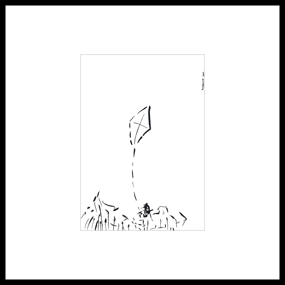 FLY A KITE
